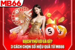 Bạch Thủ Lô Là Gì? 3 Cách Chọn Số Hiệu Quả Từ MB66