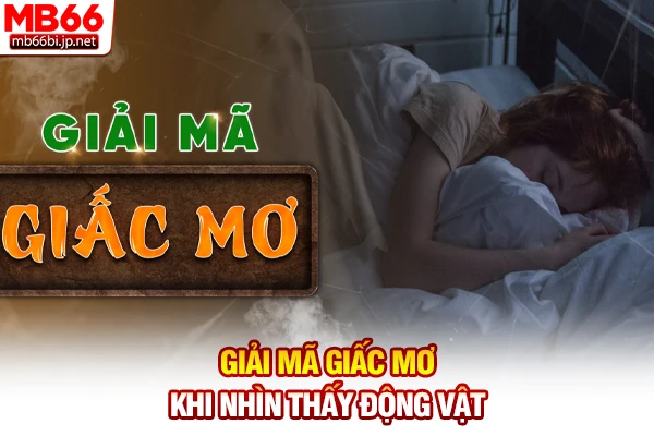 Giải mã giấc mơ khi nhìn thấy động vật