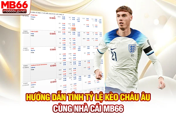 Hướng dẫn tính tỷ lệ kèo Châu Âu cùng nhà cái MB66