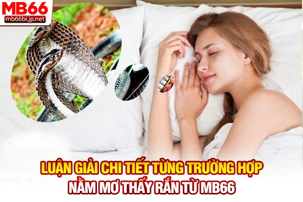 Luận giải chi tiết từng trường hợp nằm mơ thấy rắn từ MB66
