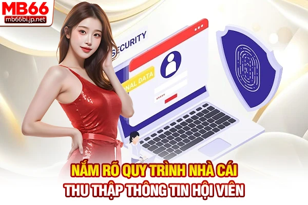 Nắm rõ quy trình nhà cái thu thập thông tin hội viên